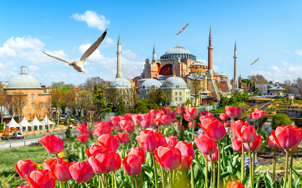 Istanbul Port Private Istanbul Tour (Blue Mosque + Hagia Sophia + Topkapi Palace + Grand Bazaar)